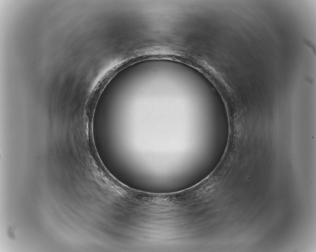 X0000099541408200805301451