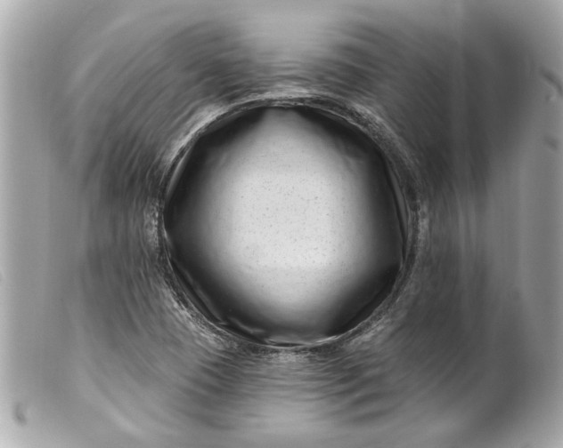 X0000099541409200805301451