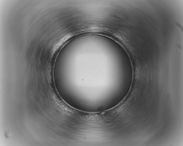 X0000099541410200805301451