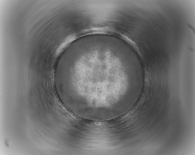 X0000099541411200805301451