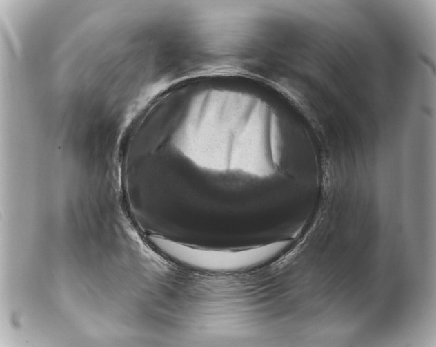 X0000099541414200805301451