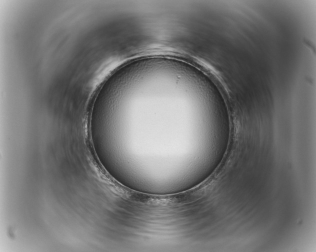 X0000099541415200805301451