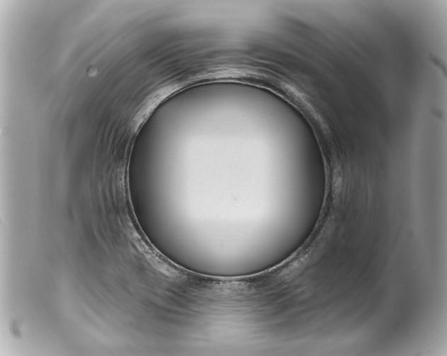 X0000099541417200805301451