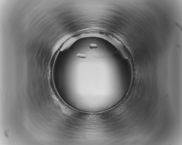 X0000099541418200805301451