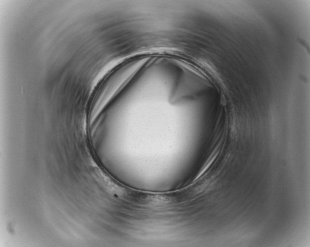 X0000099541420200805301451