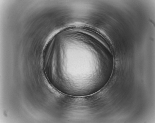 X0000099541421200805301451