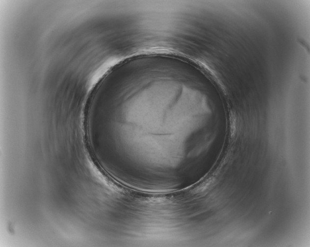 X0000099541422200805301451