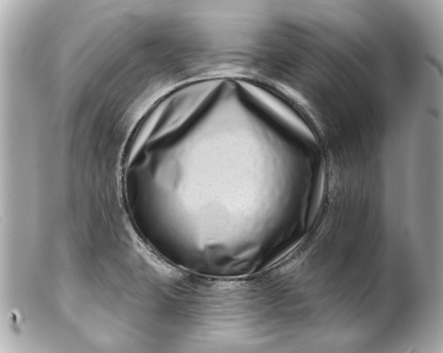 X0000099541423200805301451