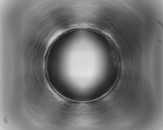 X0000099541424200805301451