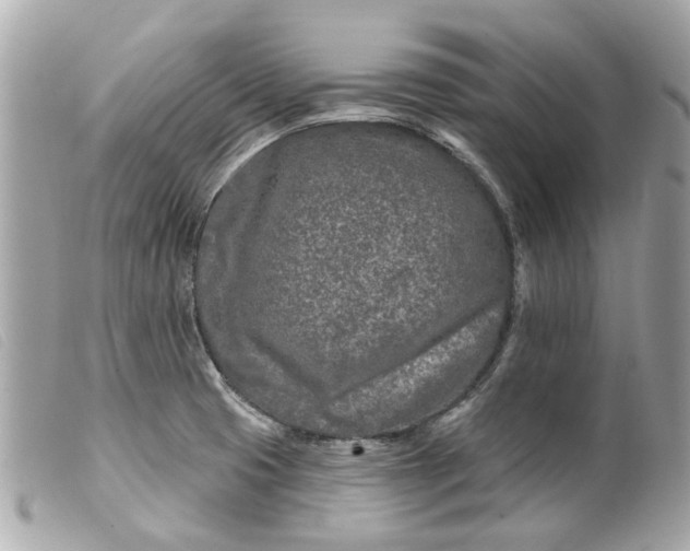 X0000099541425200805301451