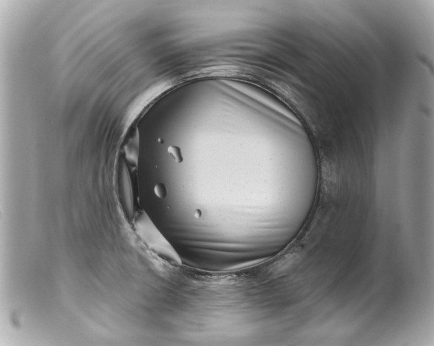 X0000099541426200805301451