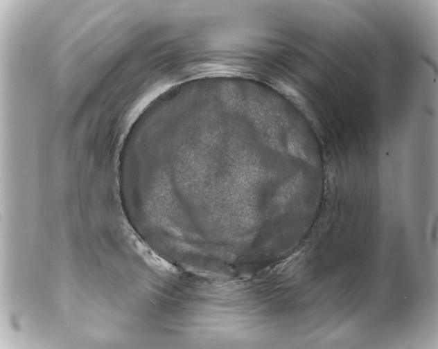 X0000099541427200805301451