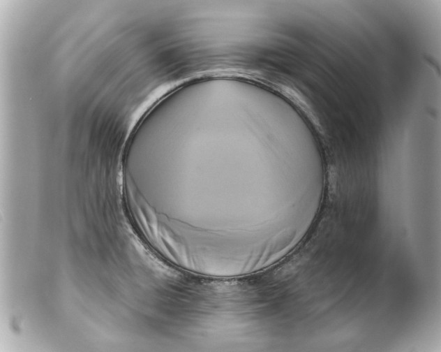 X0000099541428200805301451