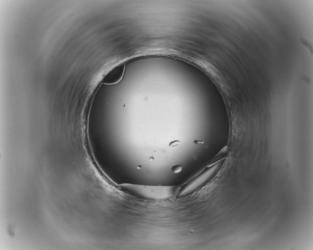 X0000099541430200805301451