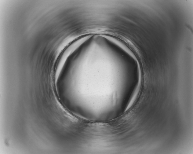 X0000099541432200805301451