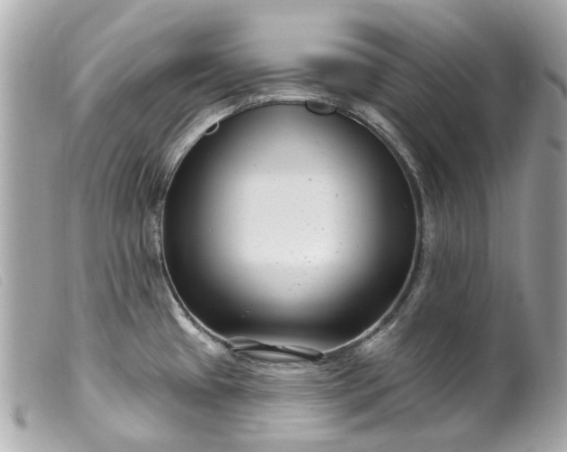 X0000099541433200805301451