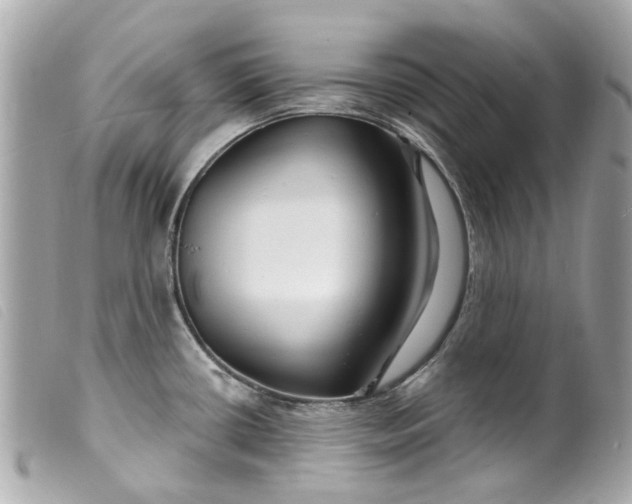 X0000099541434200805301451