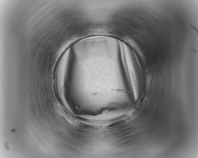 X0000099541435200805301451