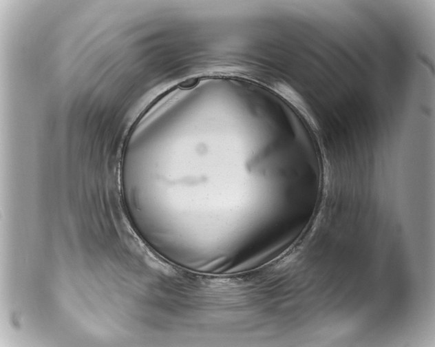 X0000099541436200805301451