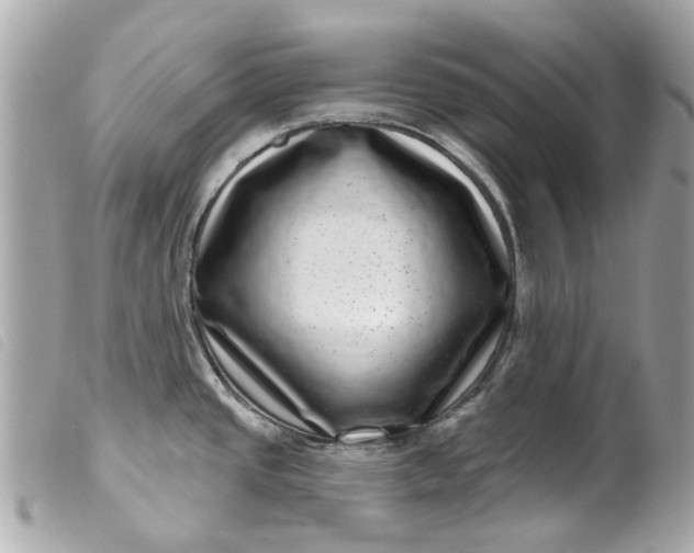 X0000099541437200805301451