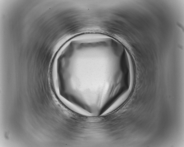 X0000099541440200805301451