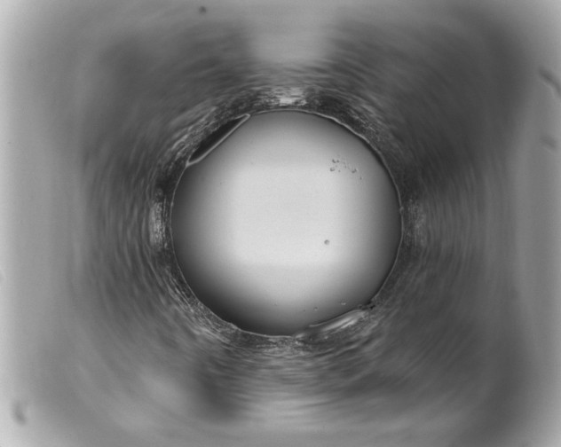 X0000099541442200805301451