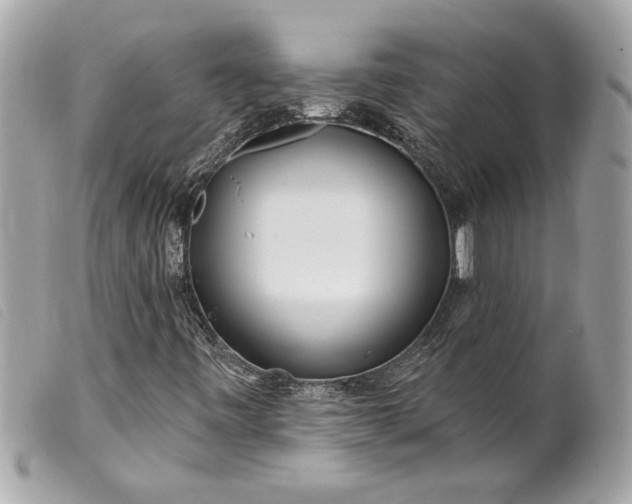 X0000099541443200805301451