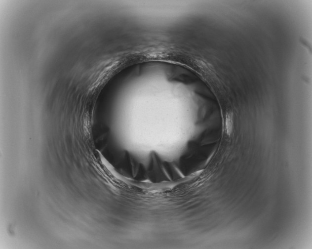 X0000099541444200805301451