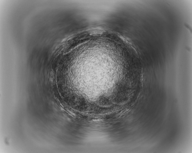 X0000099541445200805301451