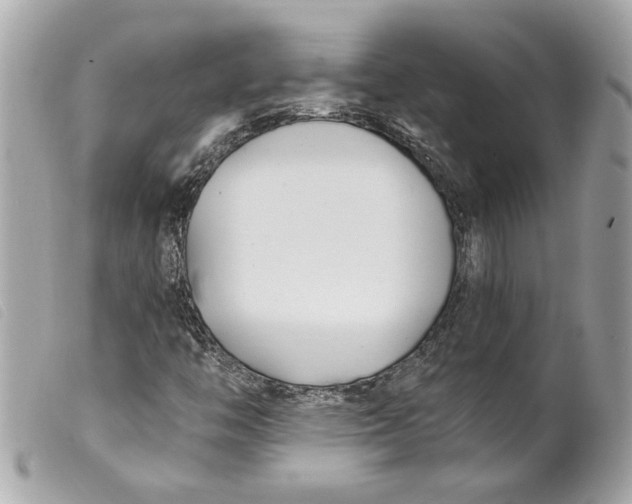 X0000099541446200805301451