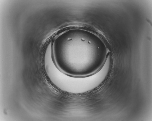 X0000099541448200805301451