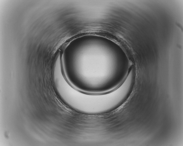 X0000099541449200805301451