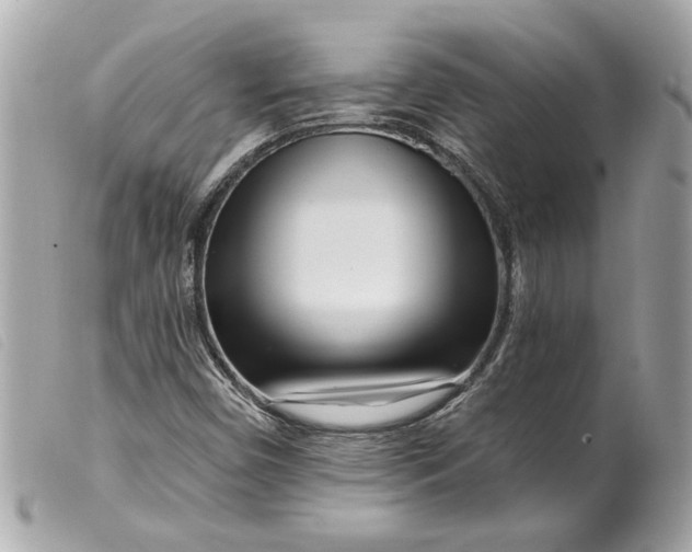 X0000099541450200805301451