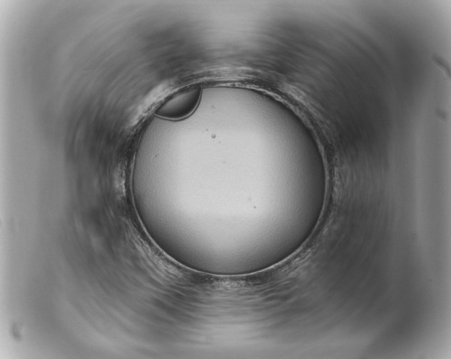 X0000099541451200805301451