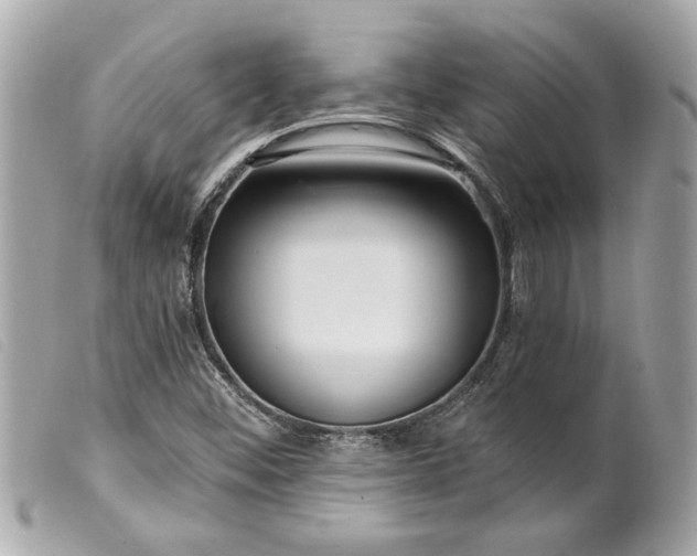 X0000099541452200805301451