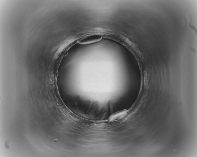 X0000099541453200805301451