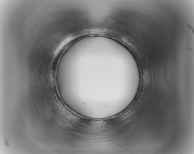 X0000099541454200805301451