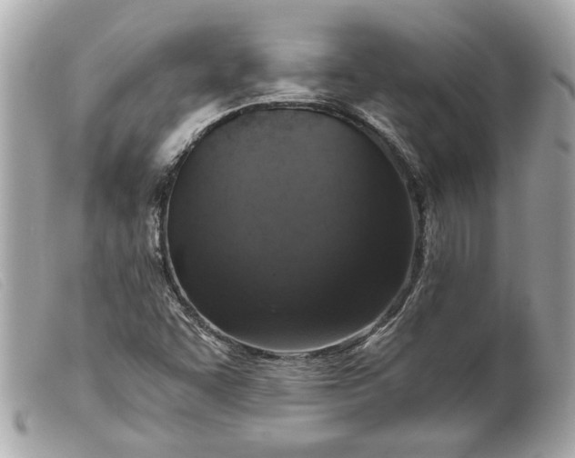 X0000099541455200805301451