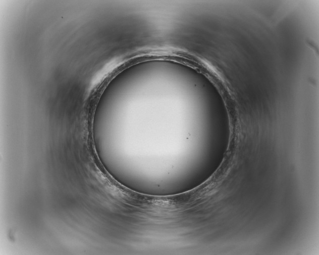 X0000099541456200805301451