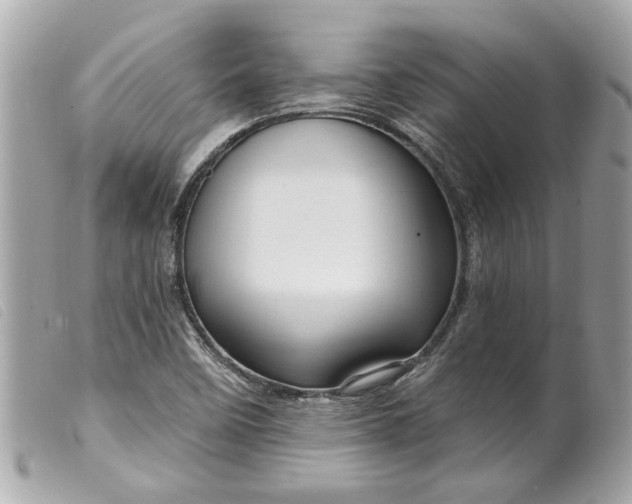 X0000099541458200805301450