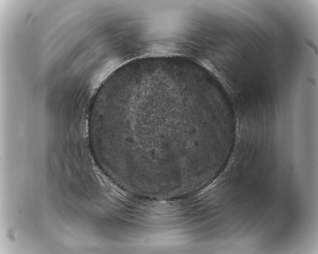 X0000099541459200805301450