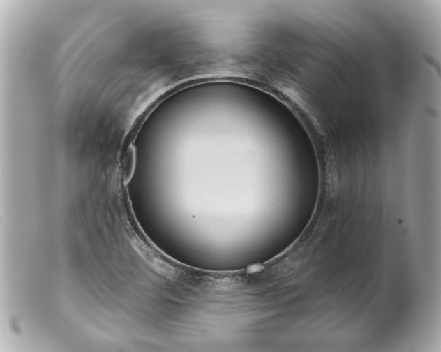 X0000099541460200805301450