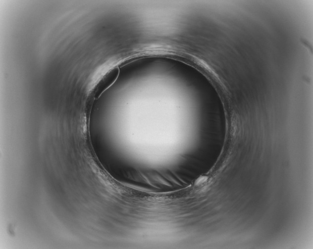 X0000099541461200805301450