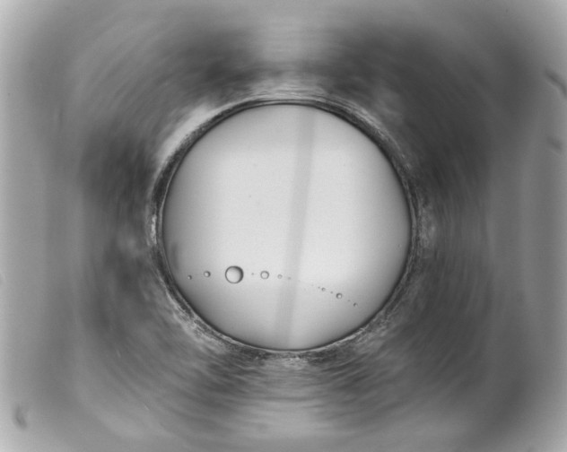 X0000099541462200805301450