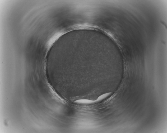 X0000099541463200805301450