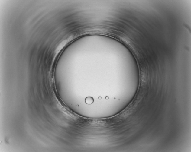 X0000099541466200805301450