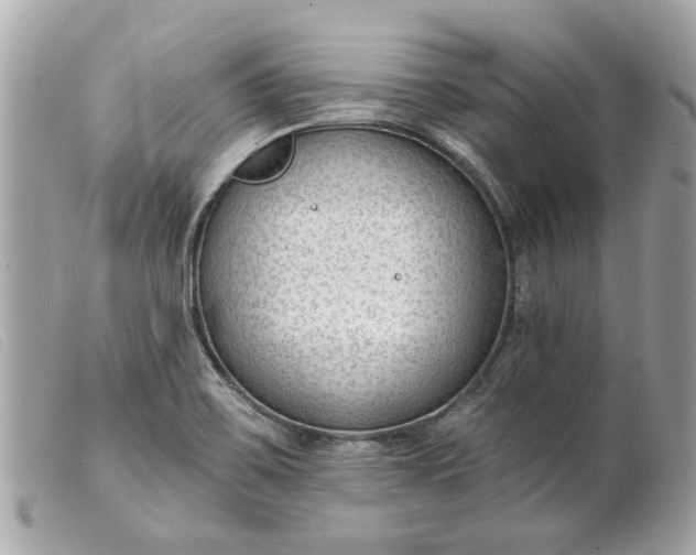 X0000099541467200805301450