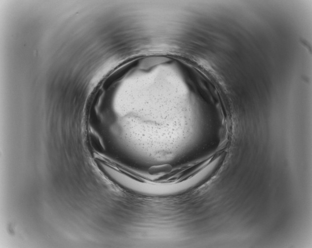 X0000099541469200805301450