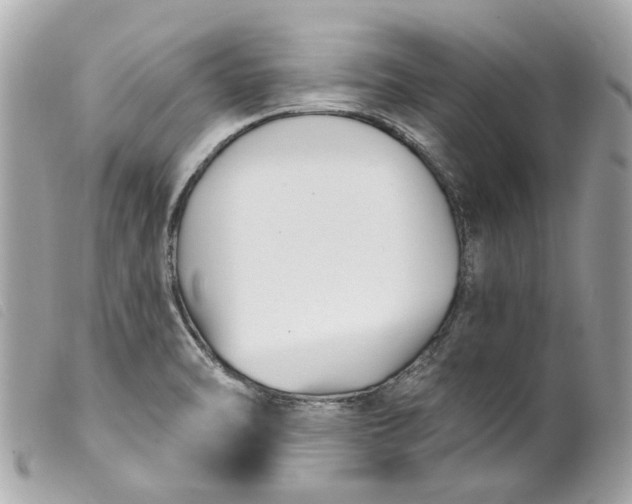 X0000099541470200805301450