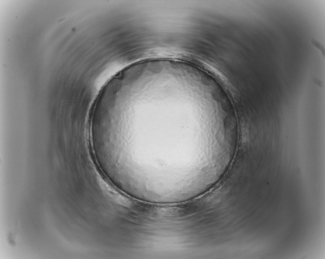 X0000099541471200805301450